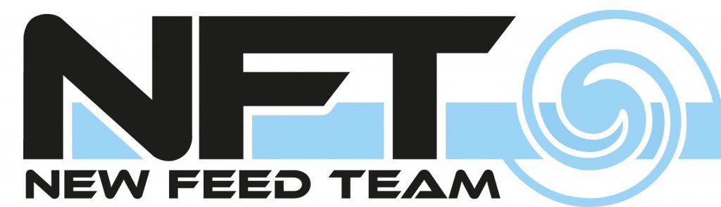 nft is reality - NFT - New Feed Team